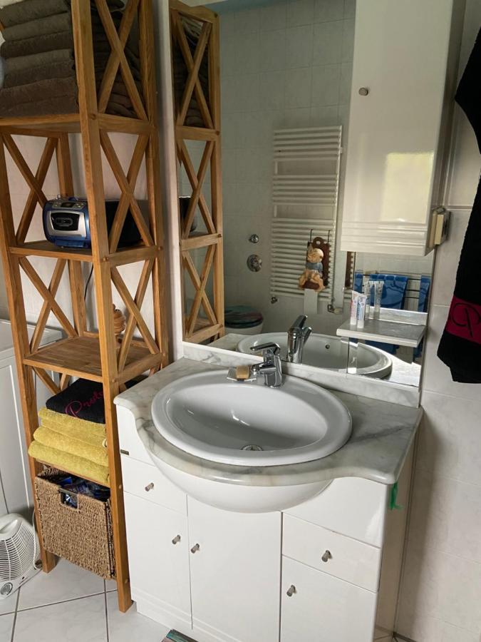Dachterrassen Idylle Ueber Den Daechern Dresdens מראה חיצוני תמונה