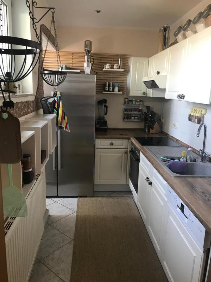Dachterrassen Idylle Ueber Den Daechern Dresdens מראה חיצוני תמונה